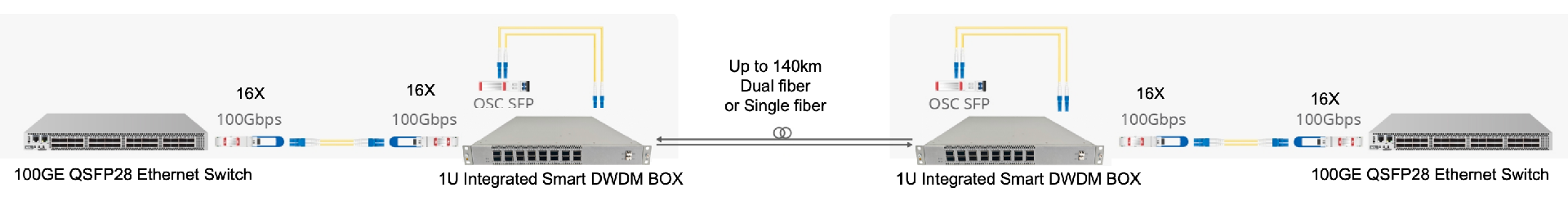 16X 100G 引用.png